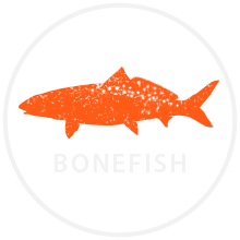 redfish icon