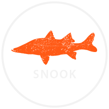snook fish icon
